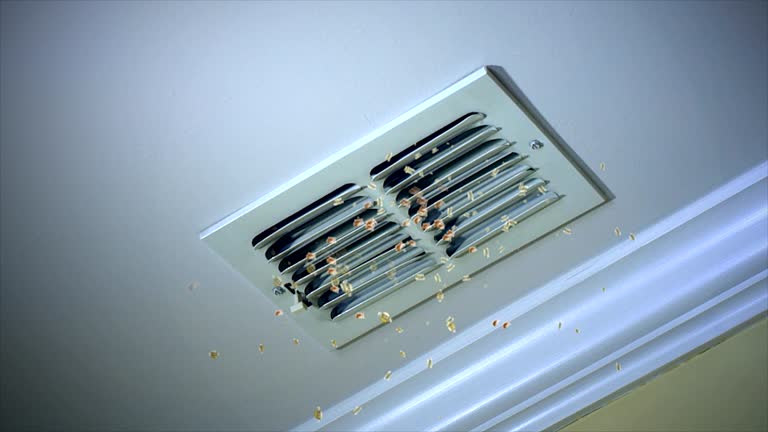 Best Air Duct Cleaning Near Me  in Largo, MD