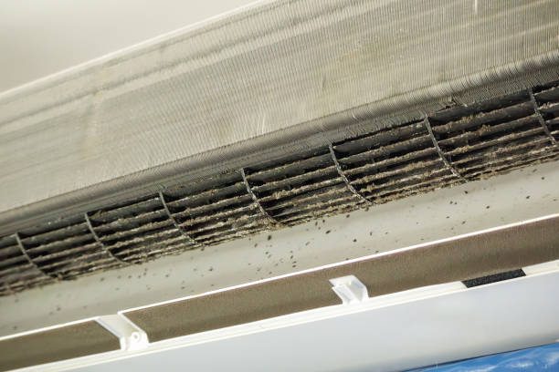 Best Residential Air Duct Cleaning  in Largo, MD